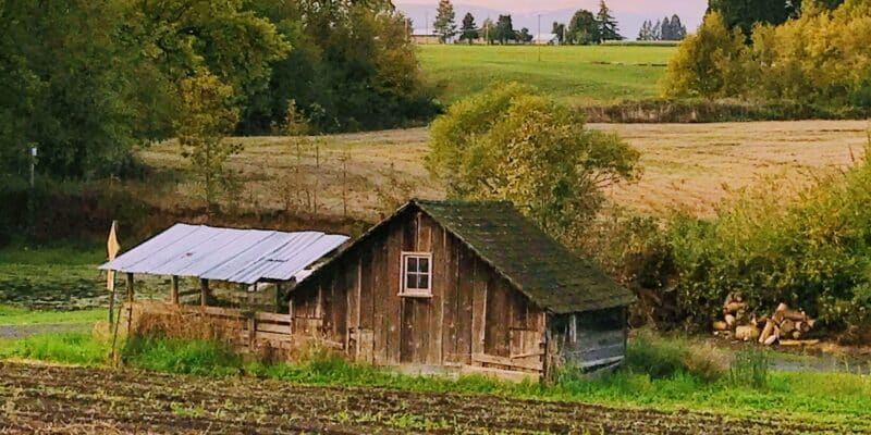 Entrepreneuriat rural