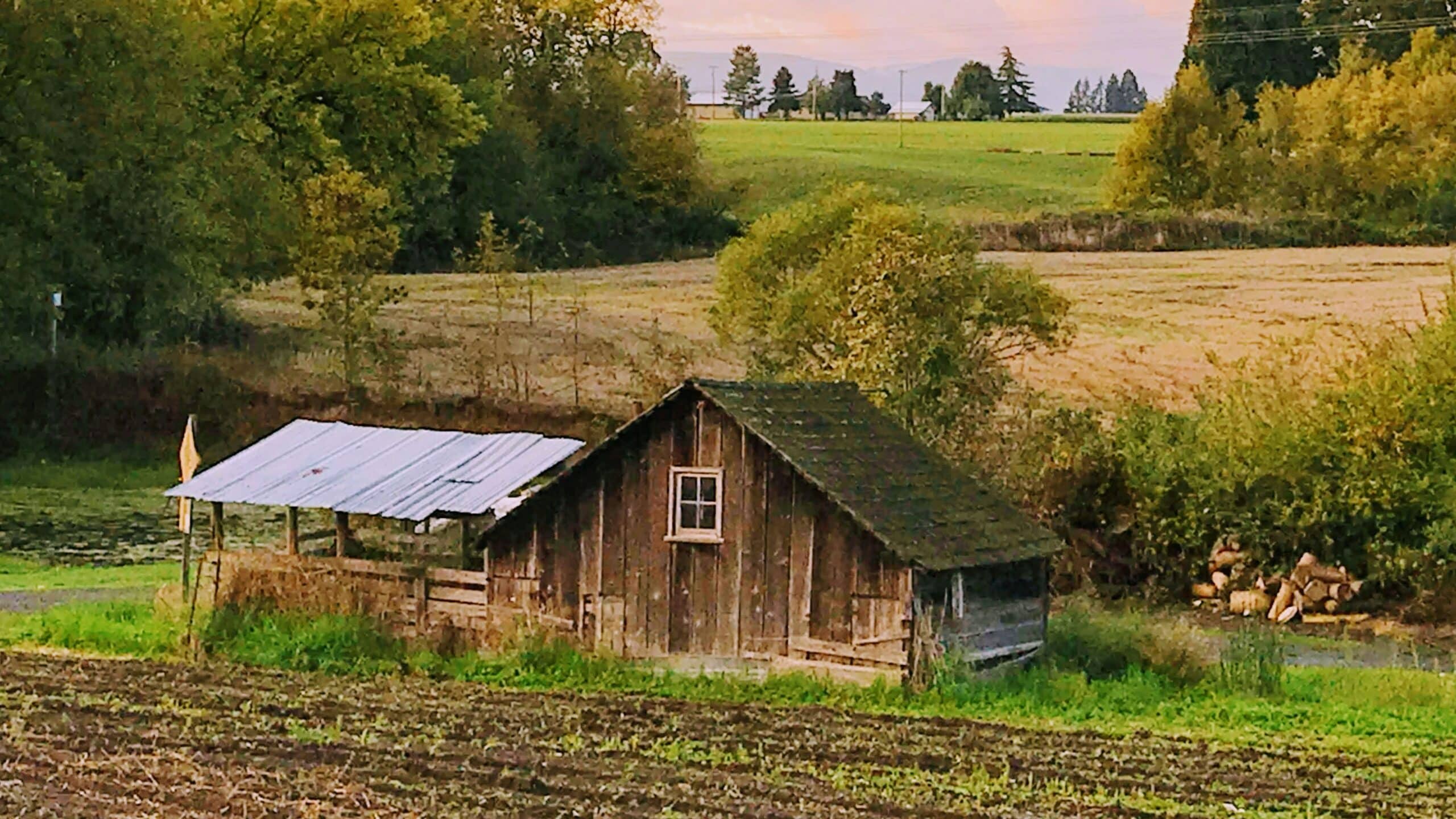 Entrepreneuriat rural